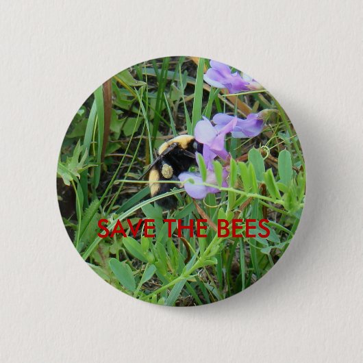 紫色の野生の花のF2蜂 缶バッジ (正面)