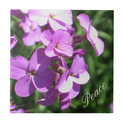 紫色の野生の花平和 タイル (正面)