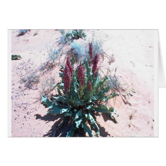 紫色の野生の花