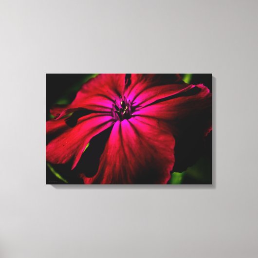 紫色の野生の花24x16 (60x40cm)ワッカ キャンバスプリント (正面)