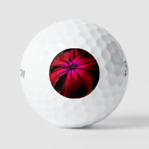 紫色の野生の花ssf gbcna