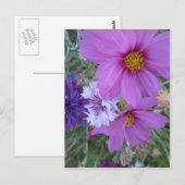 紫色の野草 ポストカード (正面/裏面)