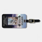 紫色の霞サービス犬写真付き身分証明書 ラゲッジタグ (正面横)