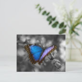 紫色の青い蝶 ポストカード (スタンド正面)