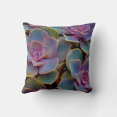 紫色の青緑の水気が多いサボテンの植物 クッション (裏面)