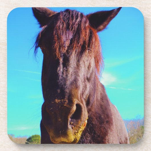 紫色の馬（口が緑） コースター (正面)
