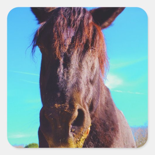 紫色の馬（口が緑） スクエアシール (正面)