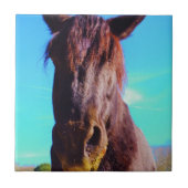 紫色の馬（口が緑） タイル (正面)