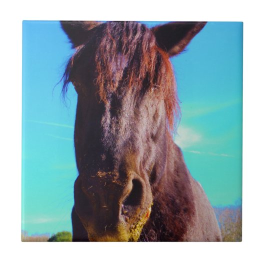 紫色の馬(口が緑) タイル (正面)