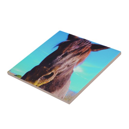 紫色の馬（口が緑） タイル (側面)