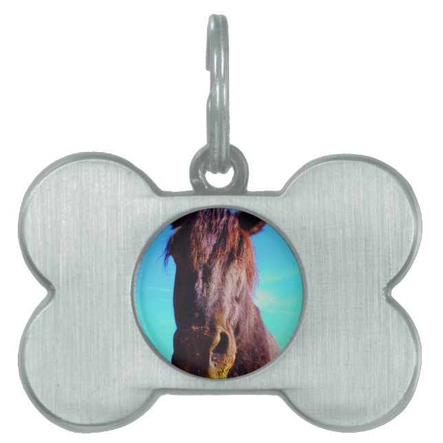 紫色の馬（口が緑） ペットネームタグ (正面)