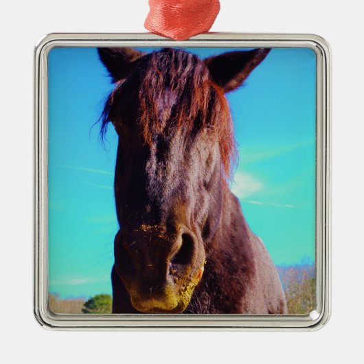 紫色の馬（口が緑） メタルオーナメント (正面)