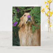 紫色の鼻 カード (黄色い花)