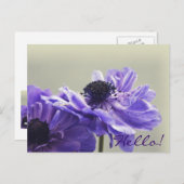 紫色のAnemoneフォトポストカード ポストカード (正面/裏面)