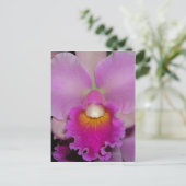 紫色のCattleya ポストカード (スタンド正面)