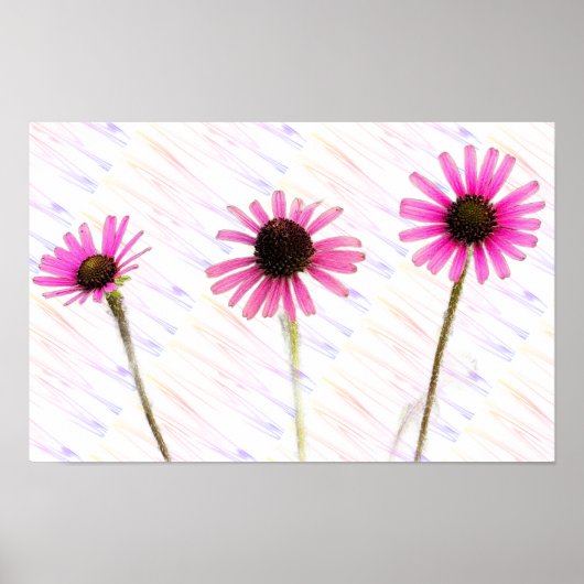 紫色のConeflowerフォトポスター ポスター (正面)