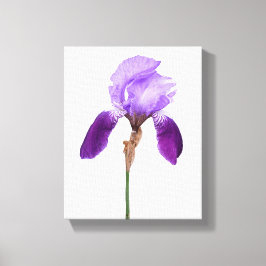 紫色アイリス花のトレンディなボヘミアンフラワーの豪華でかわいいインテリア キャンバスプリント