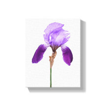 紫色アイリス花のトレンディなボヘミアンフラワーの豪華で女の子らしい