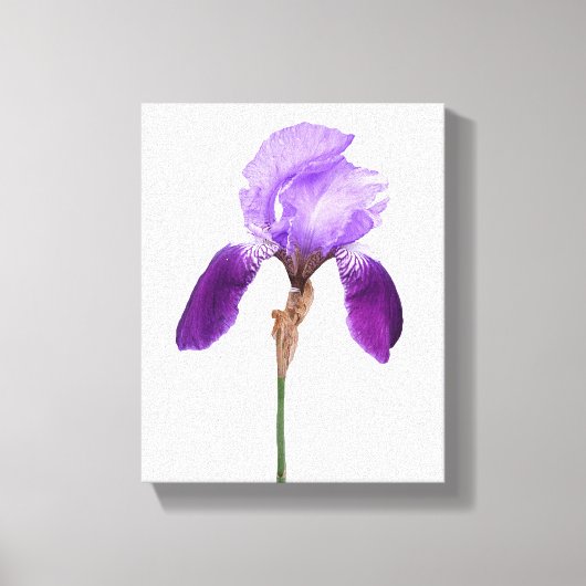 紫色アイリス花のトレンディなボヘミアンフラワーの豪華で女の子らしい キャンバスプリント (正面)