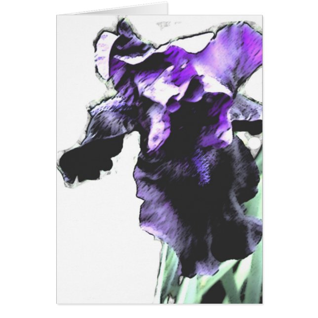 紫色アイリス (正面)