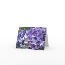 紫色アジサイの花