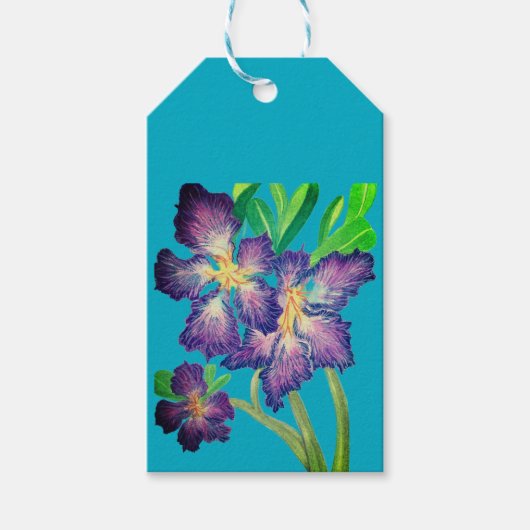 紫色アデニウム ギフトタグ (正面)