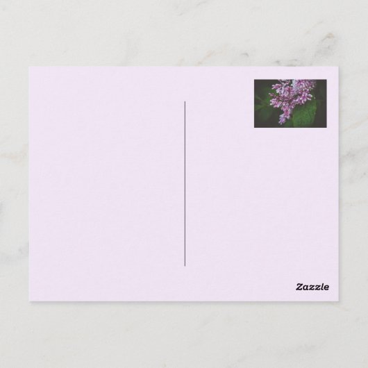 紫色アヤメ ポストカード (裏面)