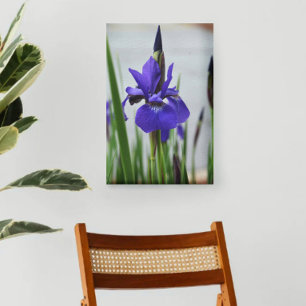 紫色イリス植物写真花 キャンバスプリント