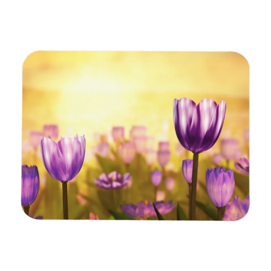 紫色ジュビリーフレキシブルマグネット マグネット (横)