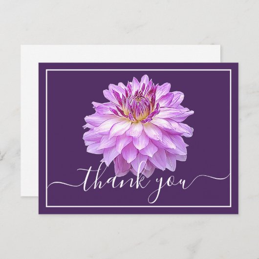 紫色ダリアと紫色の背景のサンキューカード ポストカード (正面/裏面)