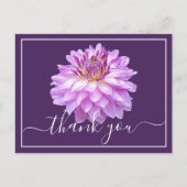 紫色ダリアと紫色の背景のサンキューカード ポストカード (正面)