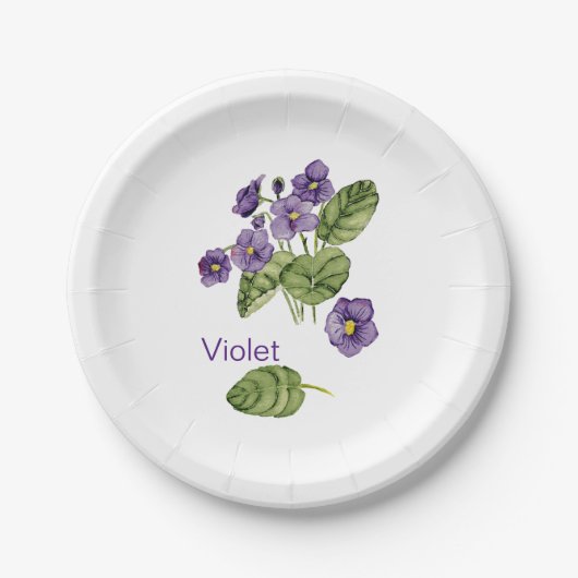 紫色バイオレット水色植物性紙プレート ペーパープレート (正面)