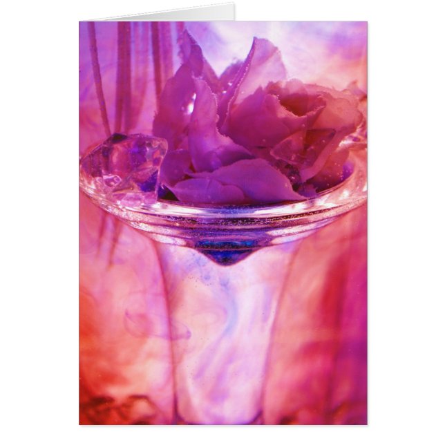 "紫色バラ"のコレクション (正面)