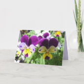 紫色ビオラ パンジー かわいい花 花のカード カード (裏面)