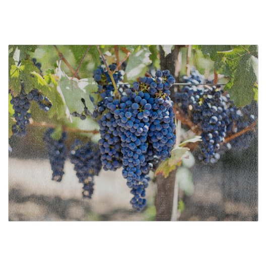 紫色ブドウのガラス切り板 カッティングボード (正面)