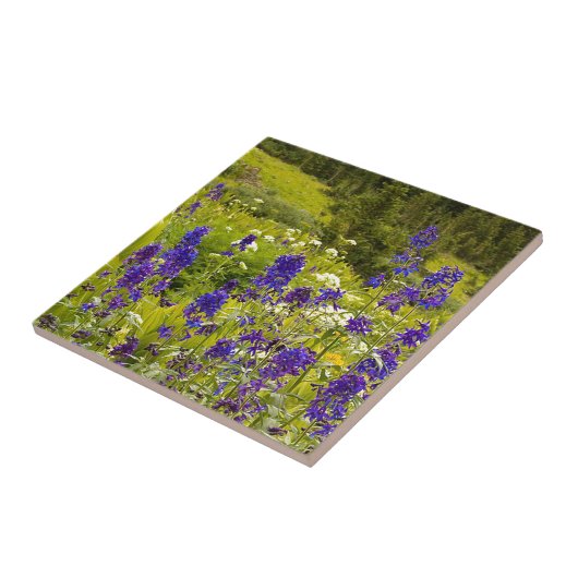 紫色分野 タイル (側面)