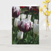 紫色及び白いチューリップの挨拶状 カード (黄色い花)
