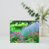 紫色星及びエキナセア ポストカード (スタンド正面)