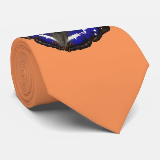 紫色皇帝蝶 ネクタイ (ロール)