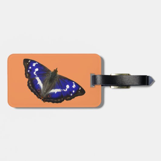 紫色皇帝蝶 ラゲッジタグ (裏面横)