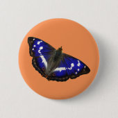 紫色皇帝蝶 缶バッジ (正面)