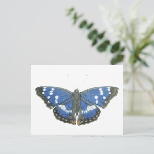 紫色皇帝2012年 ポストカード (スタンド正面)