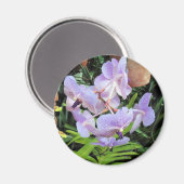 紫色花 マグネット (正面/裏面)