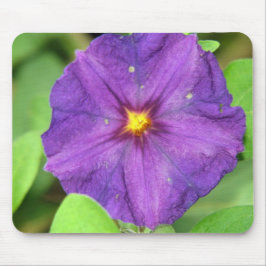 紫色 マウスパッド