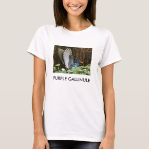 紫色GALLINULE Tシャツ