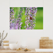 紫花のラディバード ポスター (キッチン)