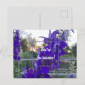 紫花はがき ポストカード (正面/裏面)