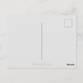 紫花はがき ポストカード (裏面)