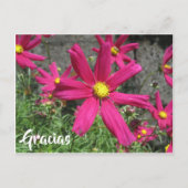 紫花スペインのの感謝してい花 ポストカード (正面)