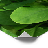 紫花ポスター ポスター (角)